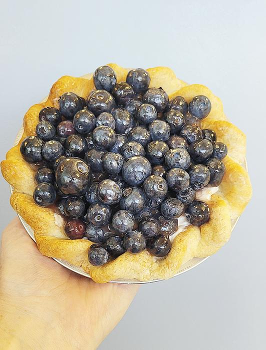 9" Blueberry Cheesecake