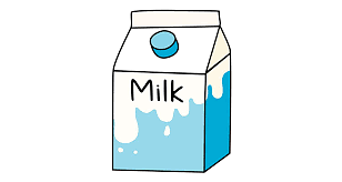 Kid's Plain Milk