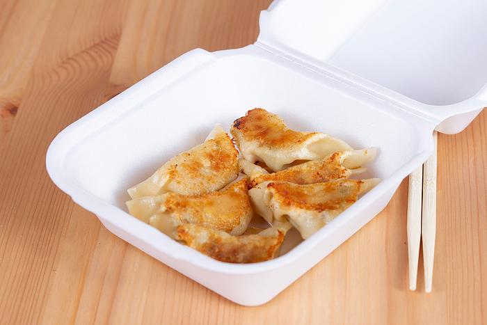 Gyoza Dumplings (餃子)